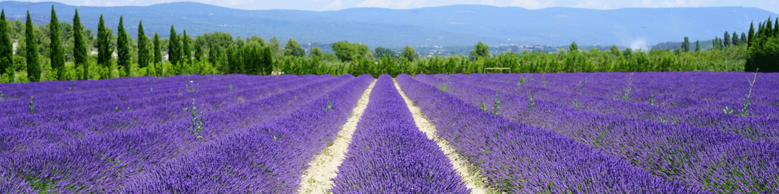 Ferienwohnungen in der Provence